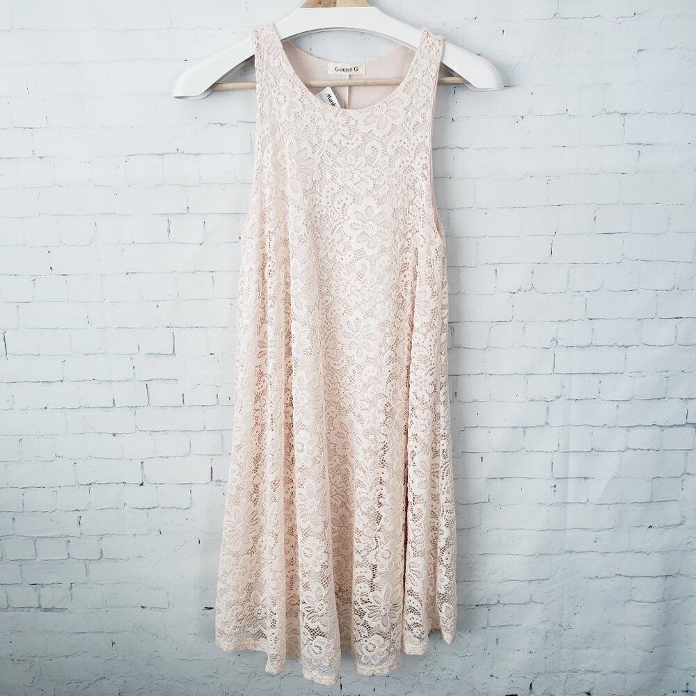 Ginger G Trapeze Lace Overlay Dress Size S Light Pink Lined Stretch NEW Womens